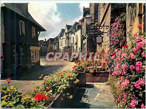 Cartes postales moderne La Bretagne en couleurs Rochefort en terre (Morbihan)La Grande Rue fleurie de geranium lierre