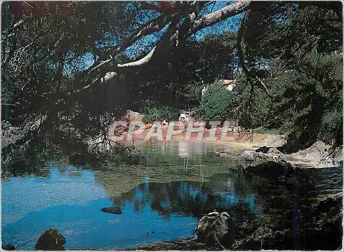 Cartes postales moderne Lumiere et Beaute de la cote d'Azur Plage Ombragee