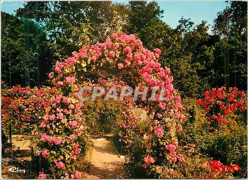 Cartes postales moderne L'Hay les Roses (Val de Marne)La Roseraie