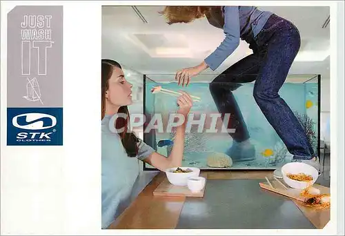 Cartes postales moderne STK