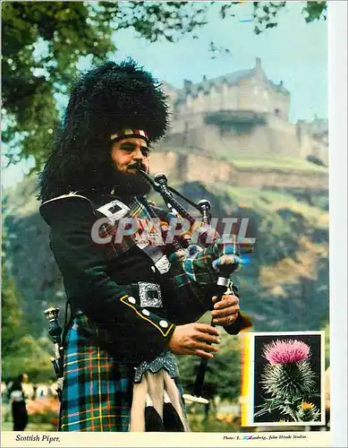 Cartes postales moderne Scottish Piper