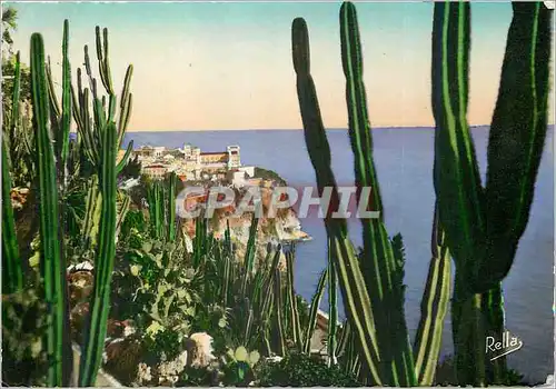 Cartes postales moderne La Cote d'Azur Le Rocher de Monaco vu du Jardin exotique