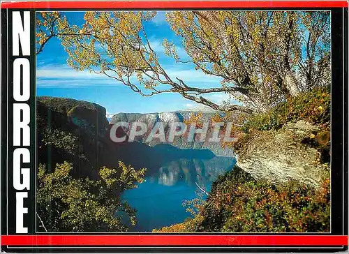 Cartes postales moderne Norge Hostfarger parti ved Aurlandsfjorgen