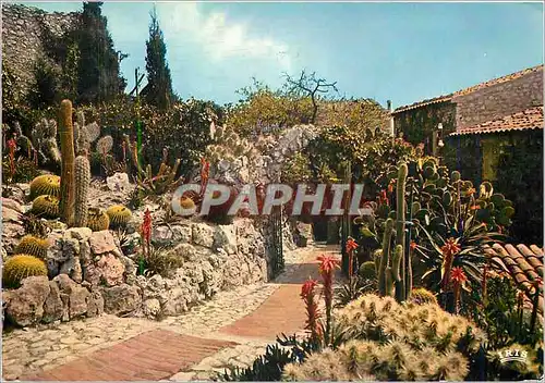 Moderne Karte La Cote d'Azur French Riviera Le Jardin Exotique