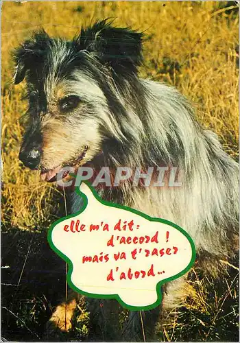 Moderne Karte Chiens