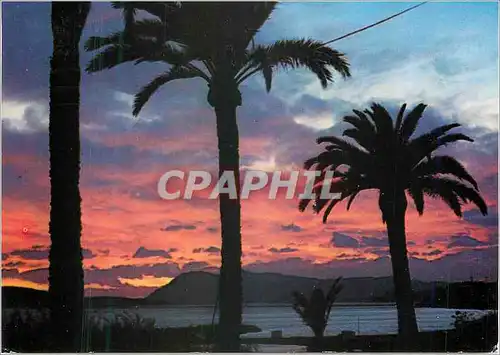 Cartes postales moderne La Cote d'Azur et ses beaux coucher du soleil