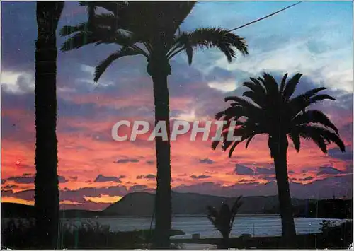 Moderne Karte La Cote d'Azur et ses beaux coucher du soleil