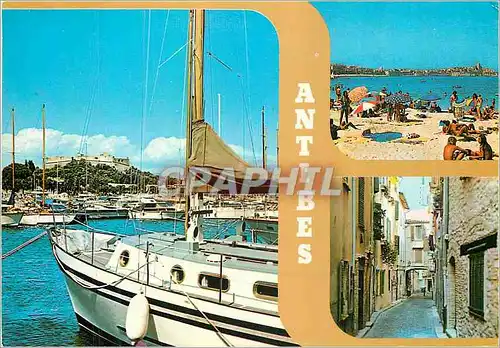 Cartes postales moderne Au Soleil de La Cote d'Azur Antibes