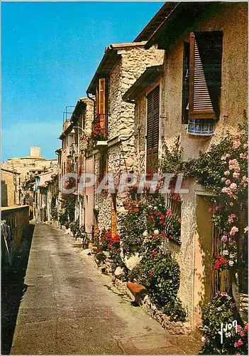 Cartes postales moderne Couleurs et Lumiere de France La Cote d'Azur Miracle de la nature Antibes (Alpes Maritimes)