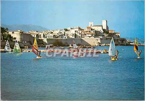 Cartes postales moderne Antibes (Alpes Maritimes)Planches a voile devant les ramparts et la vieille ville