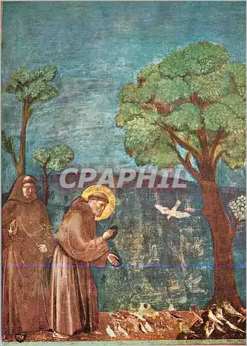 Cartes postales moderne Assisi Basilica di S Francesco