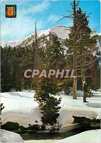 Cartes postales moderne Pirineu Catala Parc National d'Aigues Tortes