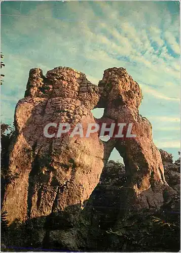 Cartes postales moderne Paysages du vivarais le Bois de palolive l'ours et le lion