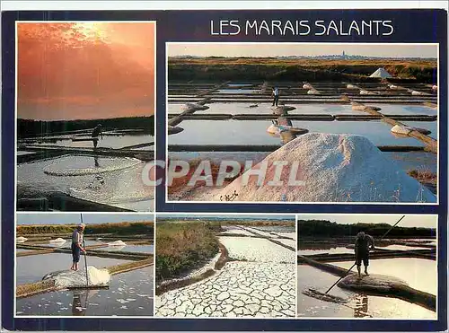 Cartes postales moderne Les Marais Salants  (Loire Atlantique)