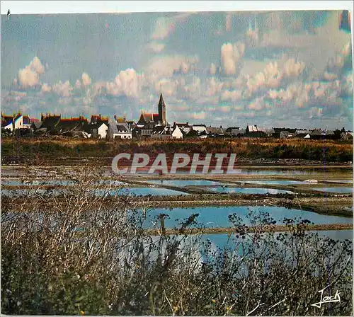 Cartes postales moderne Couleurs de Bretagne Presqu'ile Querandaise