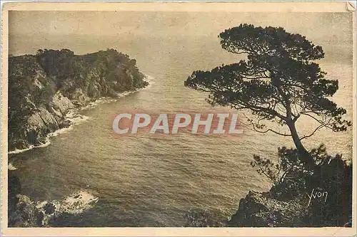 Cartes postales La Douce France Cote d'Azur Les Iles Hyeptre