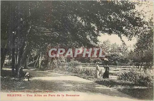 Cartes postales Une allee au parc de la bouzaize Beaune