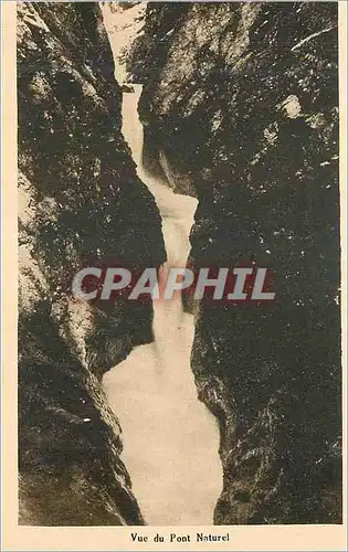 Cartes postales Vue de la Pont de nature de gorges de diosaz