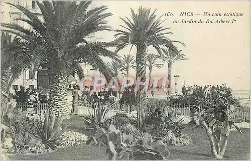 Cartes postales Nice Un coin exotique au jardin du Roi Albert 1er