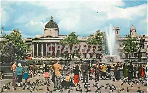 Cartes postales moderne Trafalgar square and national gallery London