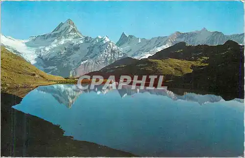 Cartes postales moderne Grindelwald Bachalpsee