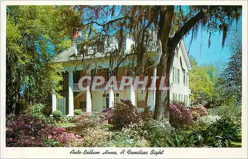 Cartes postales moderne Ante Bellum Home A Familiar Sight In Southern Louisana
