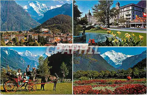 Cartes postales moderne Interlaken Cotorphoto H Steinhauer