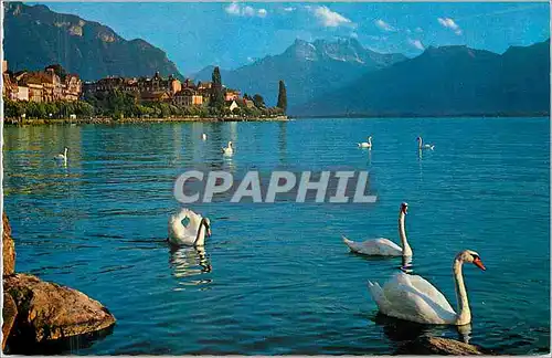 Cartes postales moderne Montreux et les Dents du midi Zurich