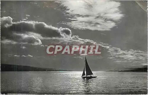 Cartes postales moderne Stimmung am Zurichsee Bateau