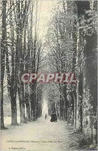 Cartes postales Ligny en Barrois une allee du parc