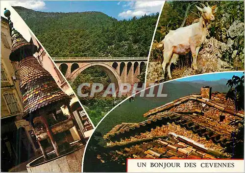 Moderne Karte Un bonjour des Cevennes France Chevre