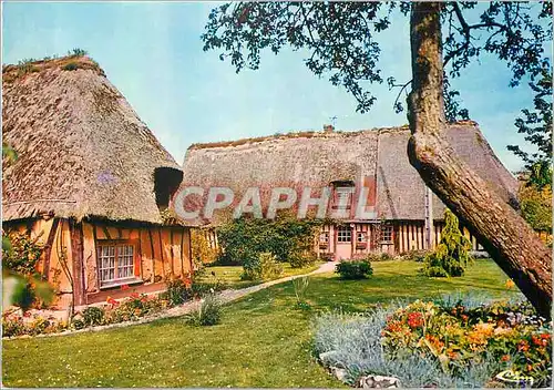 Cartes postales moderne Ma Normandie Chaumieres Normandes