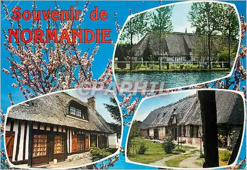 Cartes postales moderne Souvenir de Normandie Chaumieres normandes