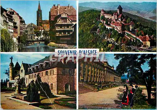 Moderne Karte Souvenir d'Alsace L'Alscace Pittoresque Strasbourg Haut Koenigsbourg Sainte Odile Saverne