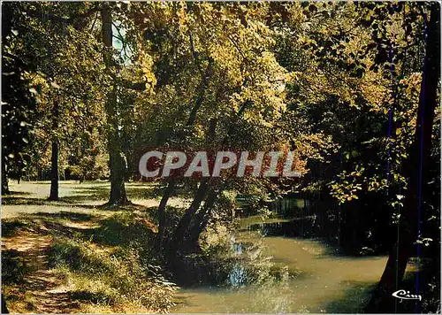 Cartes postales moderne Wassy (Hte Marne)La Blaise