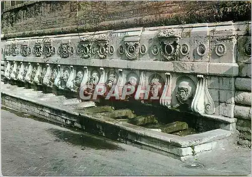Cartes postales moderne Ancona Fontaine du Calamo dite des 13 Cannelles XVI siecle