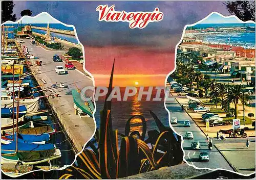 Moderne Karte Viareggio Plages