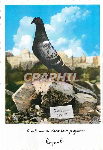 Moderne Karte Oiseau Defenseur du Fort de Vaux Militaria Pigeon