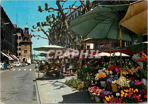 Cartes postales moderne Geneve La Place du Molard