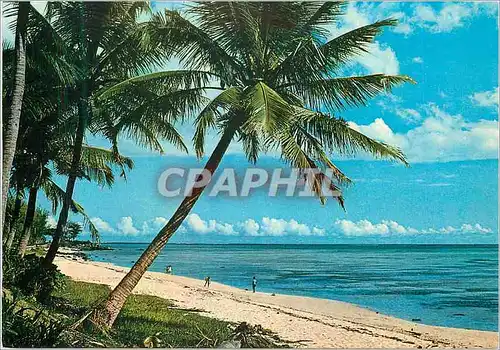 Cartes postales moderne Ile Maurice Baie du Cap