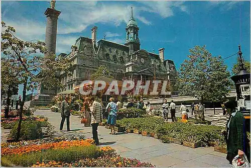 Cartes postales moderne Montreal(Quebec)Le marche aux fleurs de la Place Jacques Cartier