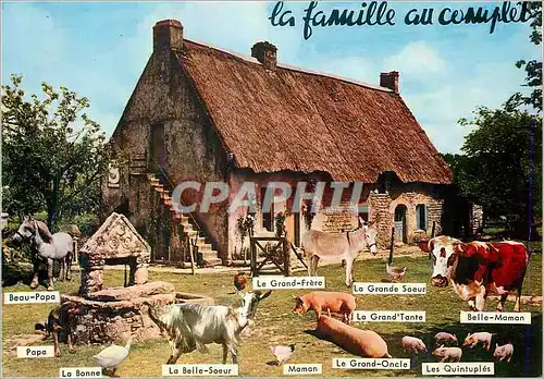 Moderne Karte La famille au complet ferme animaux Chevre Ane Donkey Vache Porc Cochon Cheval