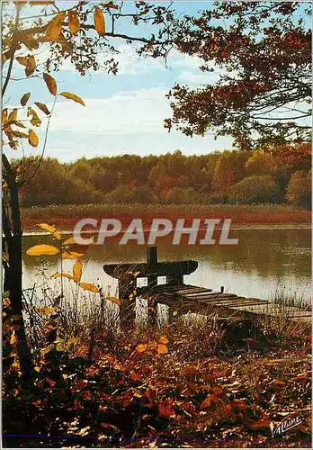 Moderne Karte En Sologne Un etang a l'automne