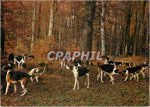 Moderne Karte Paysage de France La Meute en Foret De la depouille de nos bois L'automne avait jonche la terre