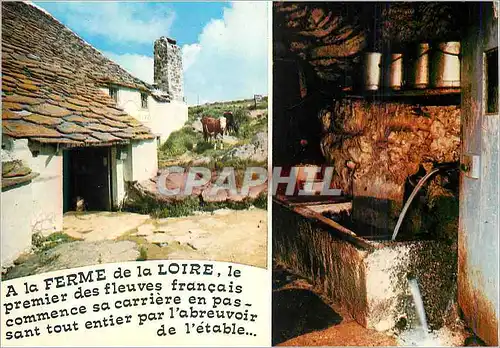 Moderne Karte Le Mont Gerbier de Joncs (Ardeche)La Ferme de la Loire