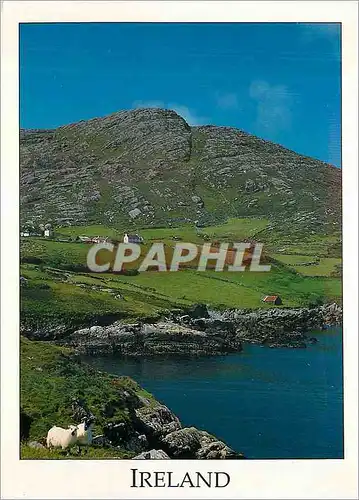 Cartes postales moderne Ireland