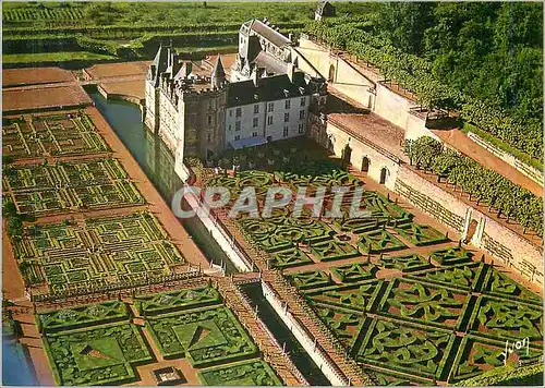 Cartes postales moderne Couleurs et Lumiere de France Le Val de Loire Le Chateau de Villandry et ses celebres jardins a