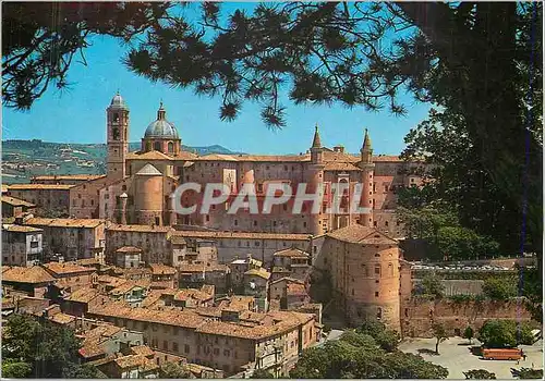 Cartes postales moderne Urbino Panorama