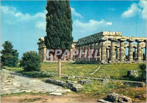 Cartes postales moderne Paestum Basilique et Temple de Neptune