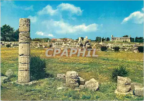 Cartes postales moderne Paestum Temple de Ceres